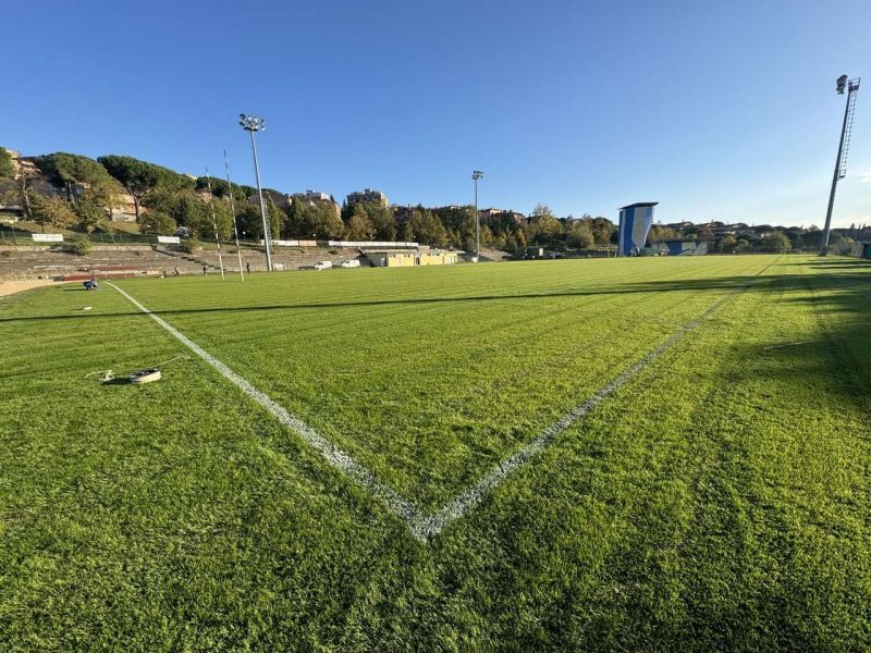 Manto erboso per Rugby Siena