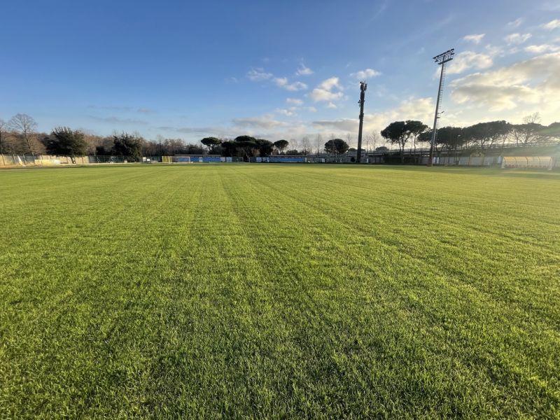 Rigenerazione del Manto Erboso allo Stadio dei Pini di Viareggio per la Viareggio Cup 2024